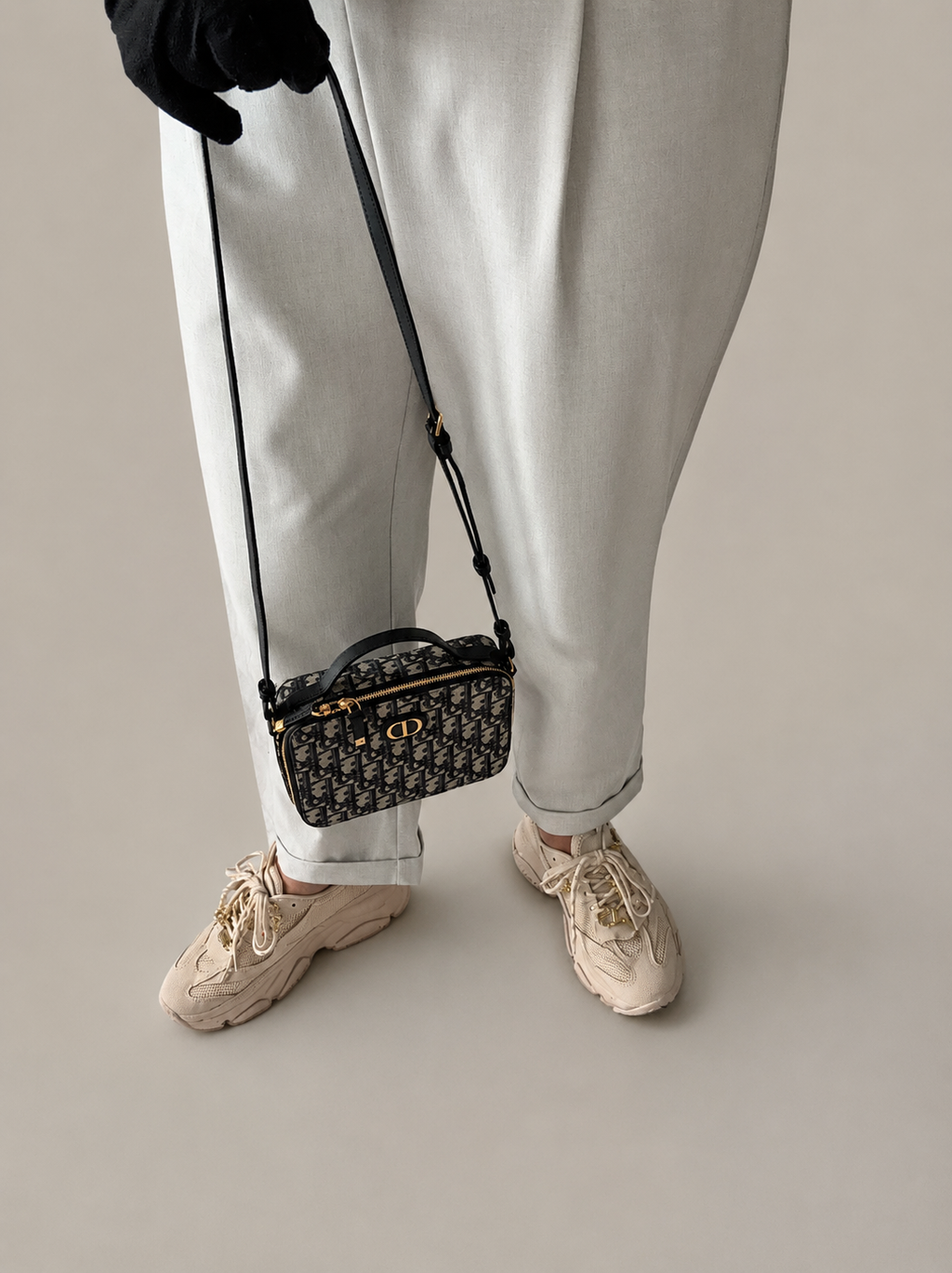 Dior Oblique Camera Bag