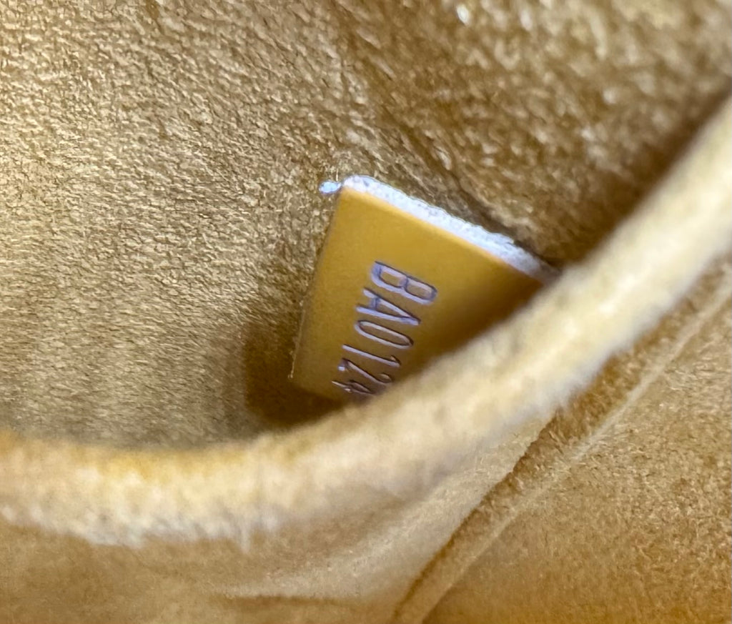 Louis Vuitton Alma PM Epi