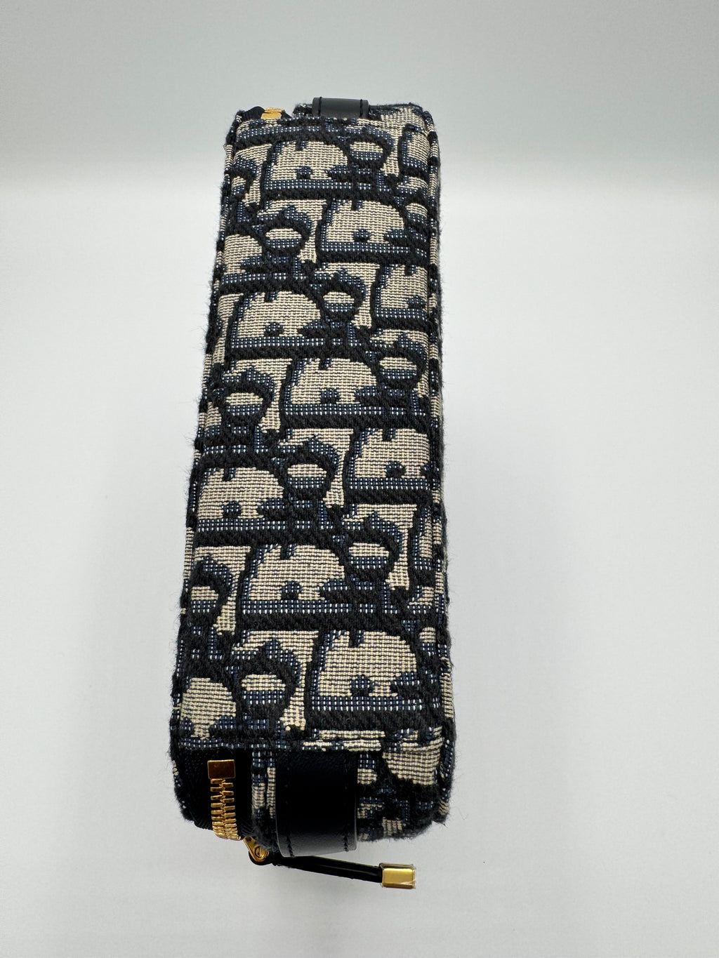Dior Oblique Camera Bag