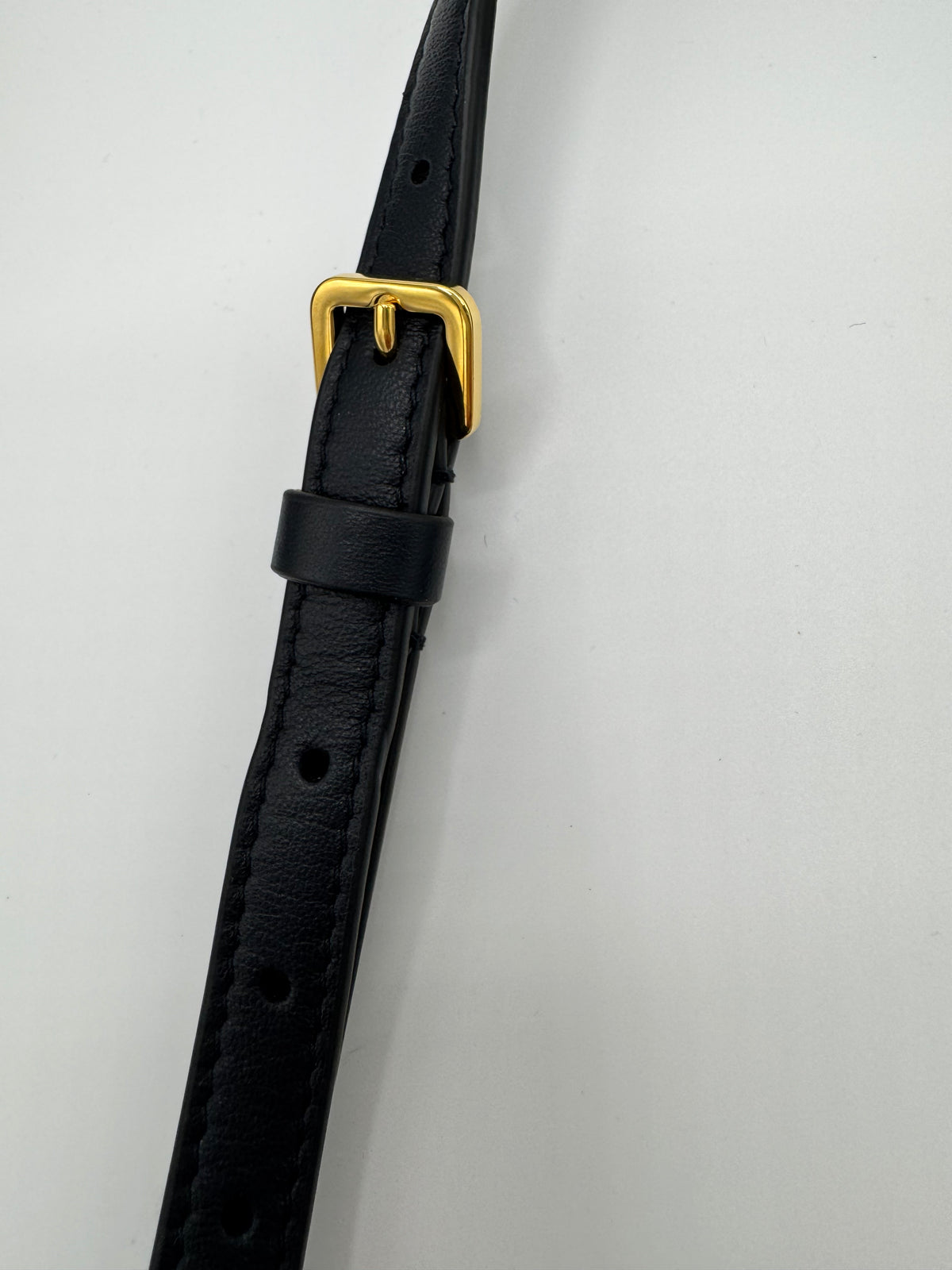 Dior Oblique Camera Bag