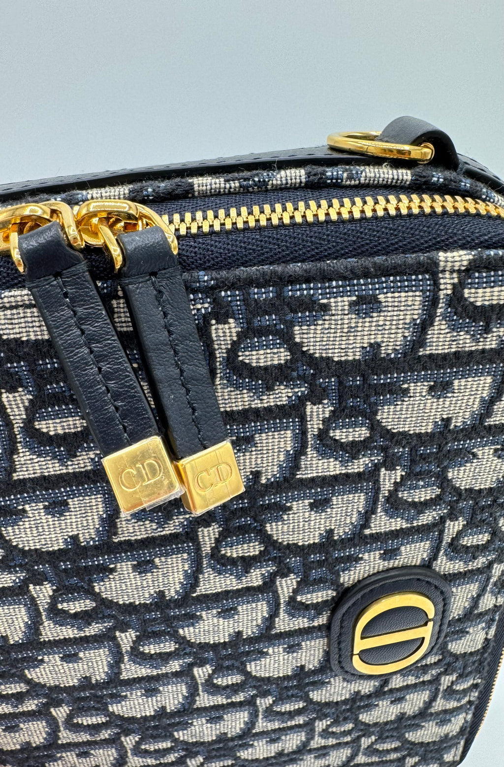 Dior Oblique Camera Bag