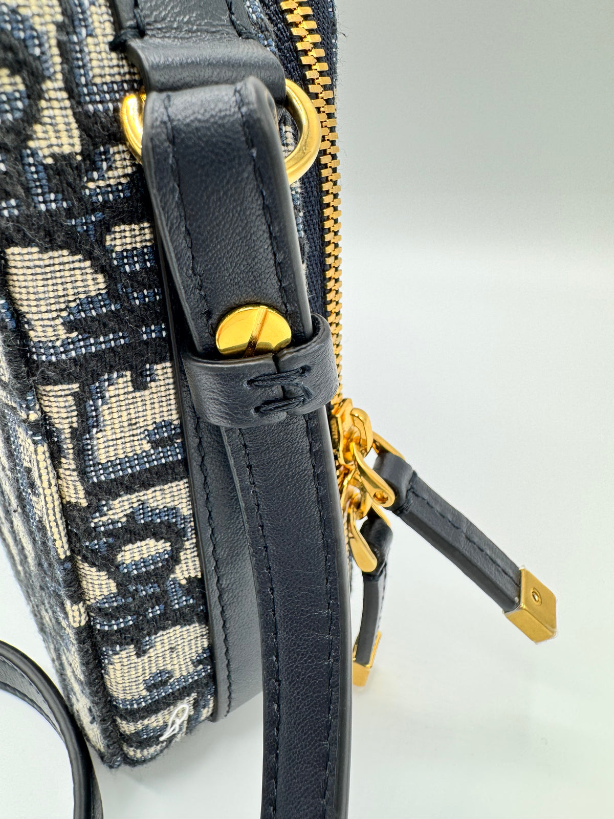 Dior Oblique Camera Bag