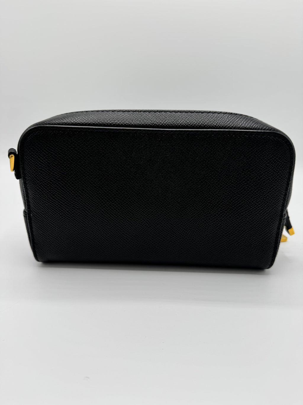 Dior CD Camera Bag