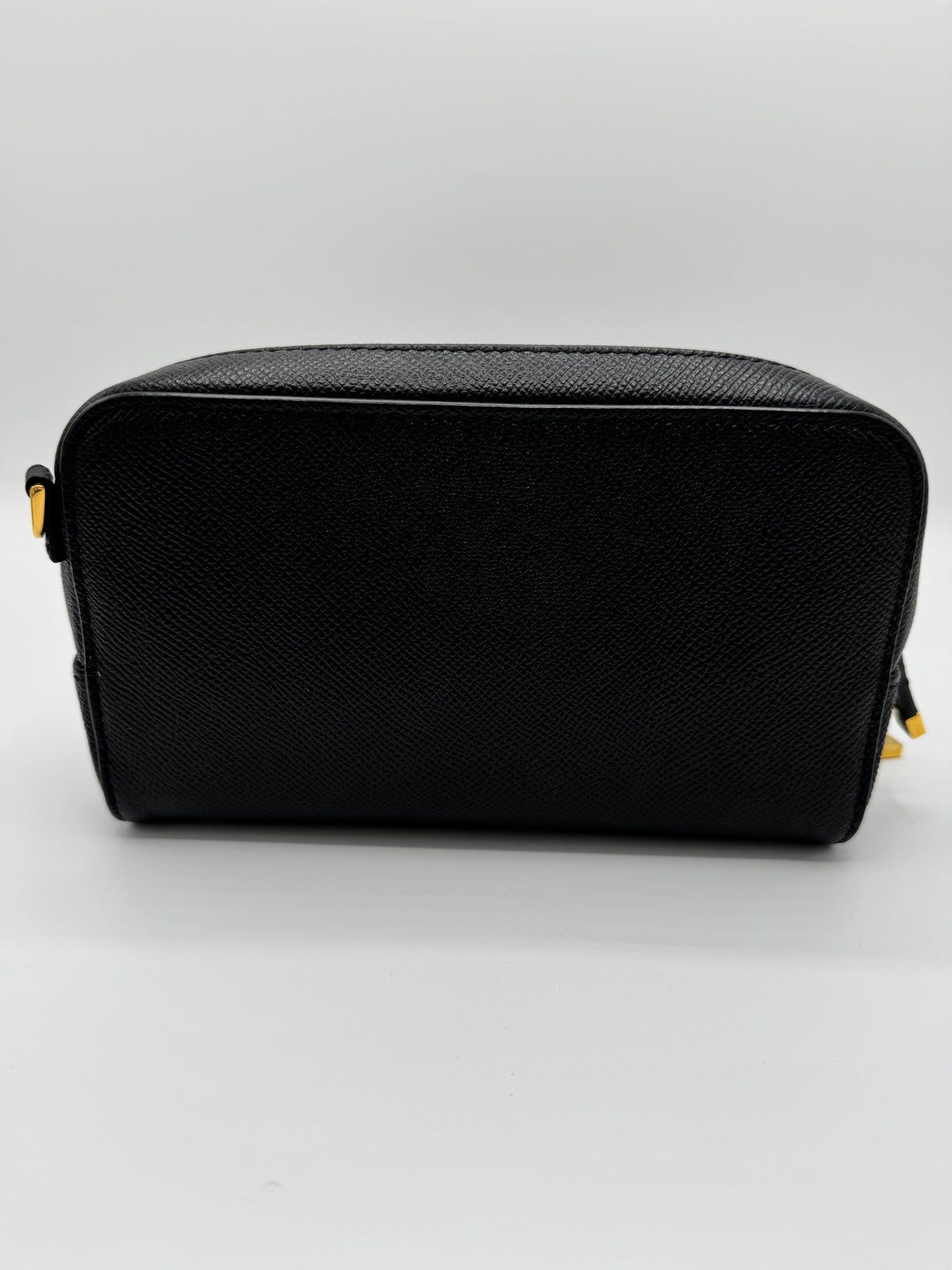 Dior CD Camera Bag